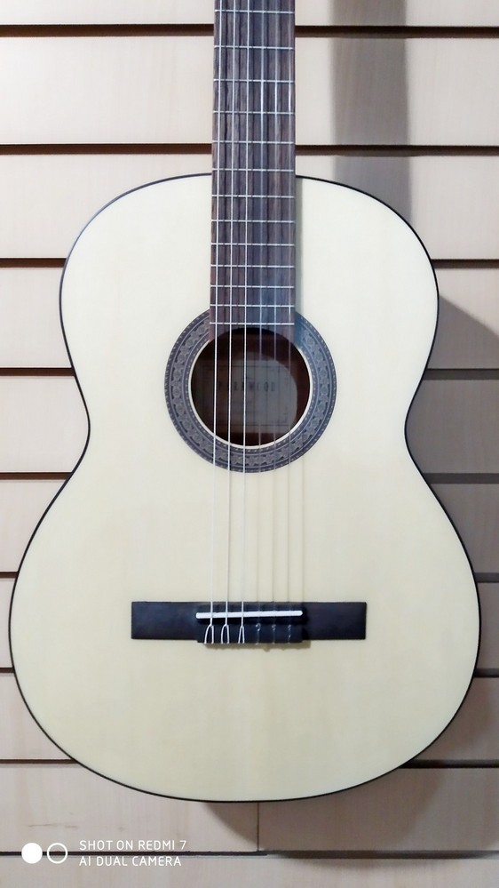 Классическая гитара 4/4 с чехлом, Parkwood PC90